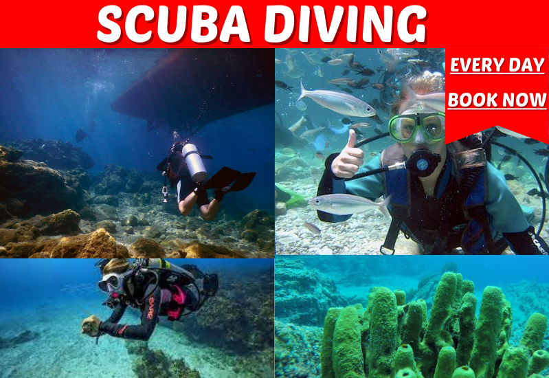 Marmaris Scuba Diving